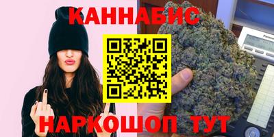 гидра Будённовск