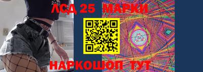 гидра Будённовск
