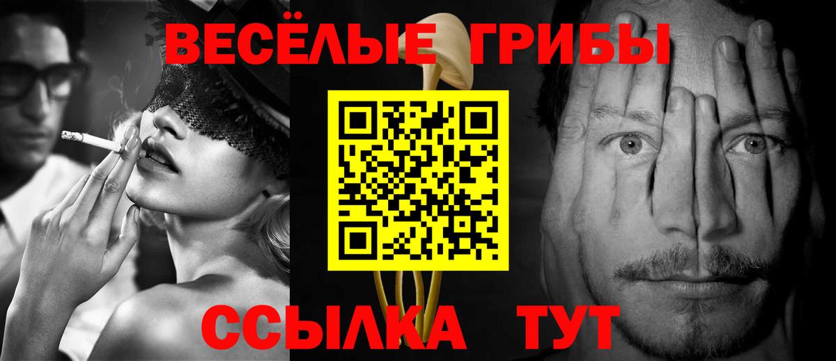 Галлюциногенные грибы мицелий  Вход с VPN  Сызрань 