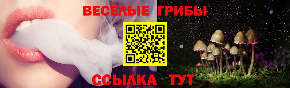 Галлюциногенные грибы Psilocybe Сызрань